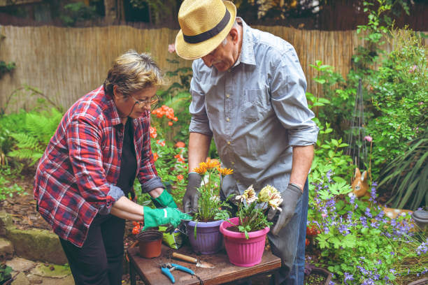 Man and woman potting plants in community garden